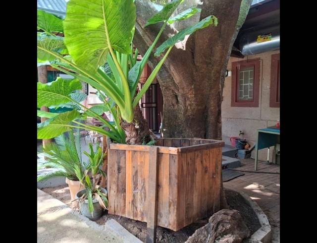 4 BEDROOM HOUSE FOR SALE IN THABAZIMBI